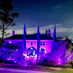 Pumpkins Glow By Moonlight