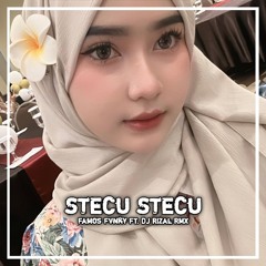 DJ STECU STECU STELAN CUEK SLOW BEAT MENGKANE (FT. DJ Rizal Rmx)