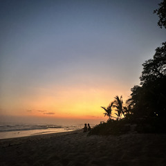 SUMMER MIX 2024 [HOUSE/AFRO HOUSE/DISCO]