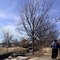 Pillows and Blankets (p. MarkMyWords)