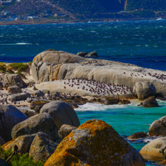 "Why we are here" Mixtape | SamWell