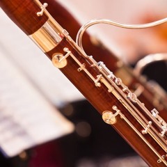 Sonata For Bassoon & Piano, M1