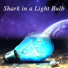 Shark in a Light Bulb, piano & bass*