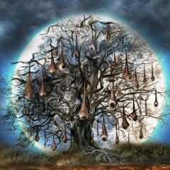 ambient piano _ still morning