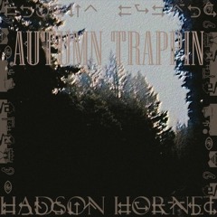 Hudson Hornet - Beautiful