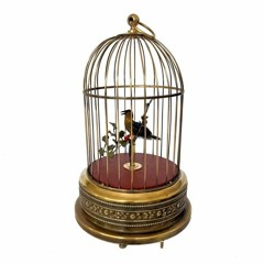 Bird in a Cage (trad arranged Irene Shettle)