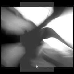 Premiere MQR040 - Moralez - Titan
