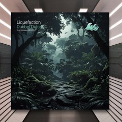 Liquefaction - Switch You (Acelerated Remix) [Sub Wavelength Recordings] PREMIERE