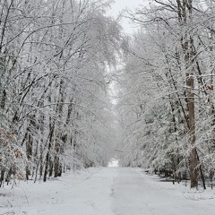 Atlantic Show Nov 29 2024