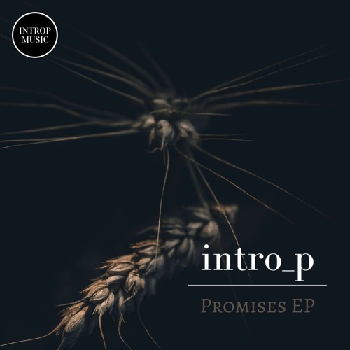 Premiere: intro_p - Promises [Introp Music]