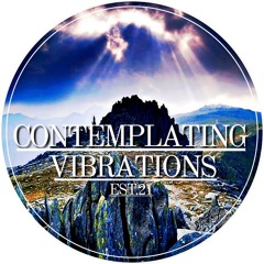Contemplating Vibrations [#12] Paranoid SouL