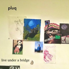 pluq live @ 6th north