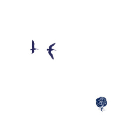 JJC - OK1 - A