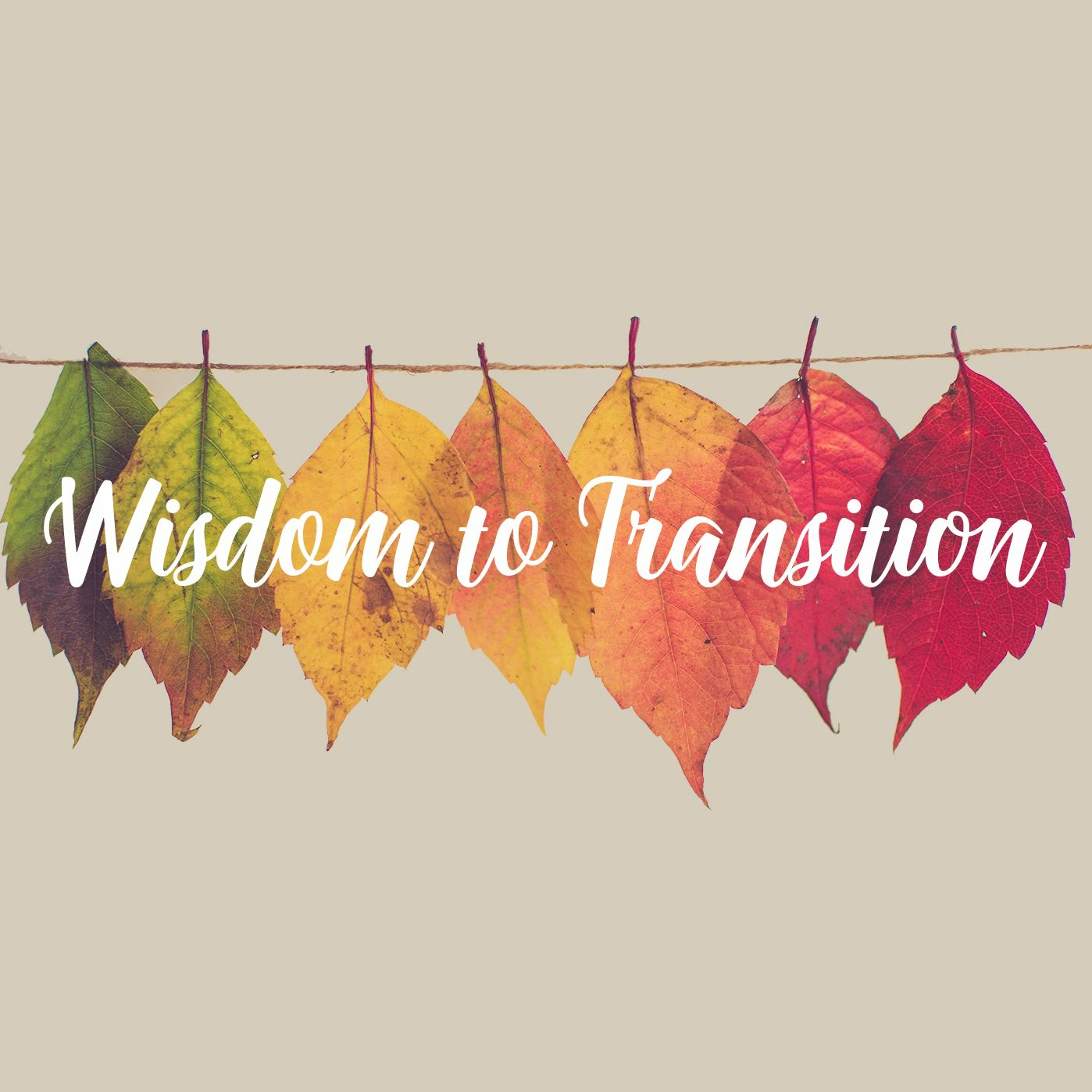 Wisdom to Transition episode artwork
