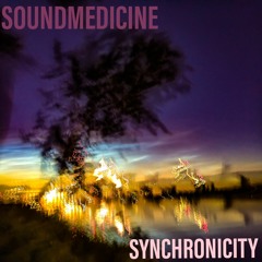 Synchronicity