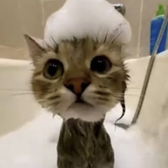 pay w/ Vi$ion (prod. 9julyy)