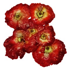 SV(templos) - joaquinbisssssous [vox&prod]