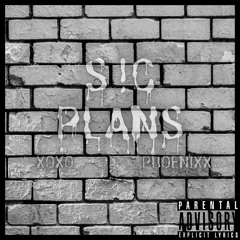 S!C PLANS (Prod. BTGRIN X oqumeh)