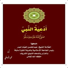 أدعية النبي صلى الله عليه وسلم أداء عمرو البساطي