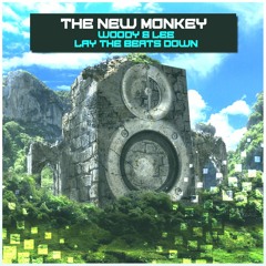 Woody & Lee - Lay The Beats Down