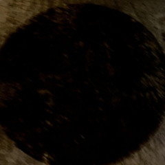 bulkpack - you are light in my life - 02 many images