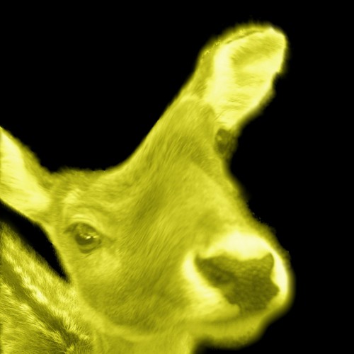 Sphäre