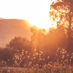 Pamplem'House - Sweet Sunshine