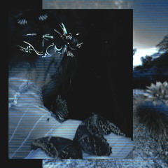hold me down ft. Aukina