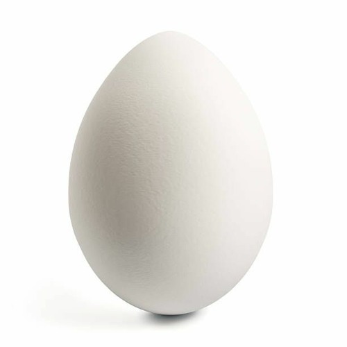 egg