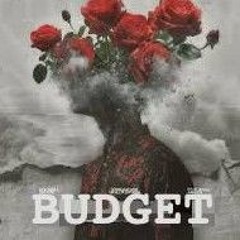 budget