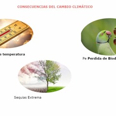 CONCEPTO BASICO DE CAMBIO CLIMATICO