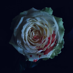 Daniel Licht — Dexter Blood Theme Remix