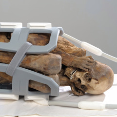 tuin mortifero - UNIAO SINISTRA: boiler baile x noite da negro