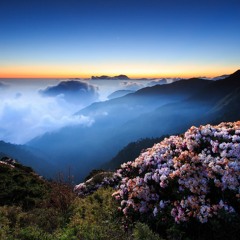 Paradise