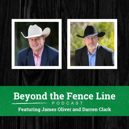 Stream episode Episode 28 How to Take a Phased Out Approach to