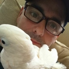Skyline Pigeon - (Elton John Cover) - remastered