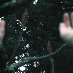 All Good Things Happen in November