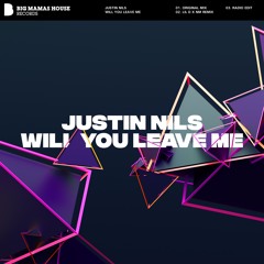 Justin Nils - Will You Leave Me
