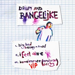 Kamelenrace (Arabian Derby) - VIP