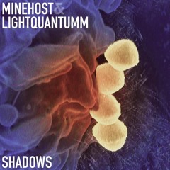 Minehost X Lightquantumm – Shadow