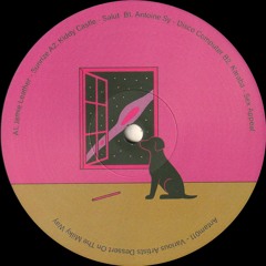 Various Artists - Dessert On The Milky Way (ANTAM011)
