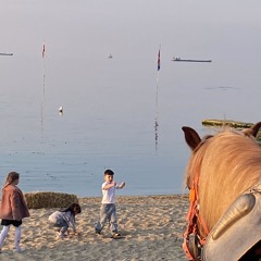 TRIBEKING123123 #PROUDGUNOWNER #BUSINESSASUSUAL