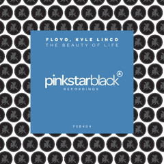 Floyo, Kyle Linco - The Beauty of Life