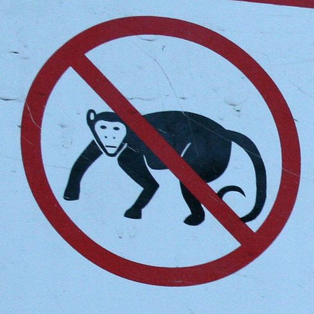 Stream No Monkeys Allowed (PJ Diss Track) [prod. lj] by SparkZ