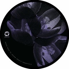 B2 Max Hawkins - Birema (Vern Remix)