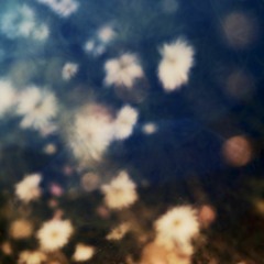 잠겨 살지 말아요