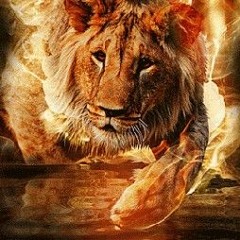 Yaari Yaari Har koi karda _ _ShaniMalik _DesiProgram(720P_HD)(480P)_mp3.mp3