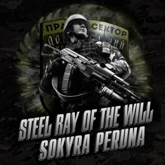 Sokyra Peruna  - Azov Full Contact