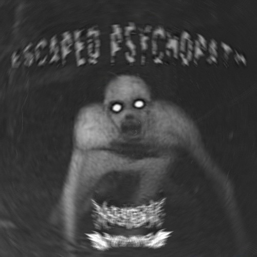 P4NDAMXNE X NXTIAMRXFNI - ESCAPED PSYCHOPATH