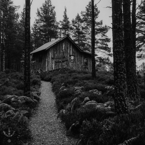 A Gateway at the Treeline
